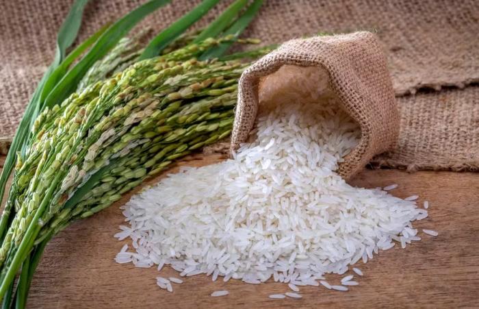  Governo federal busca soluções após polêmica no leilão de arroz