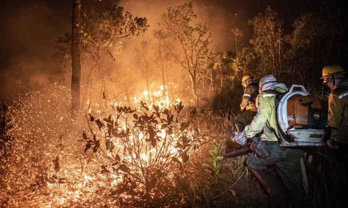 99% dos incêndios registrados no Brasil, são por ação humana, diz equipe de monitoramento