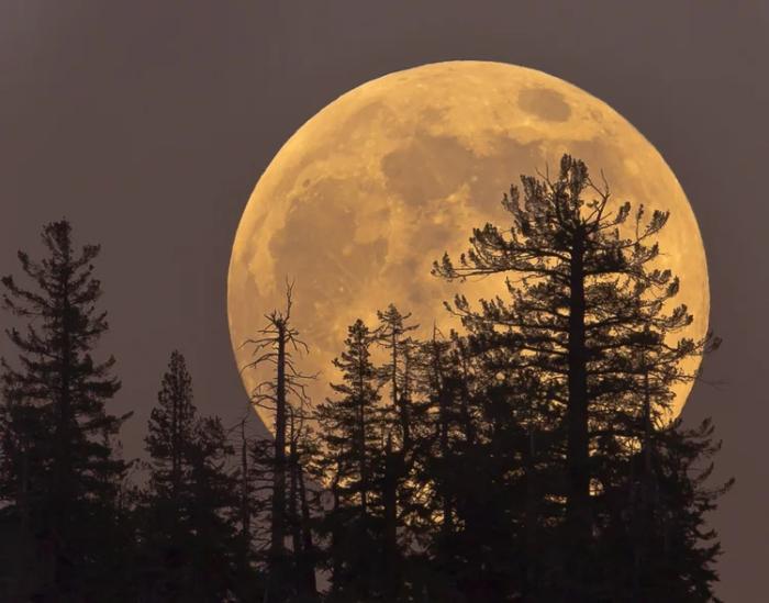 Maior superlua de 2024 será visível em todo o Brasil na noite desta Quinta