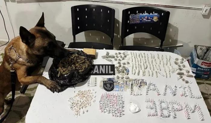 Polícia Militar apreende drogas avaliadas em R$ 9,5 mil na zona rural de Arapiraca